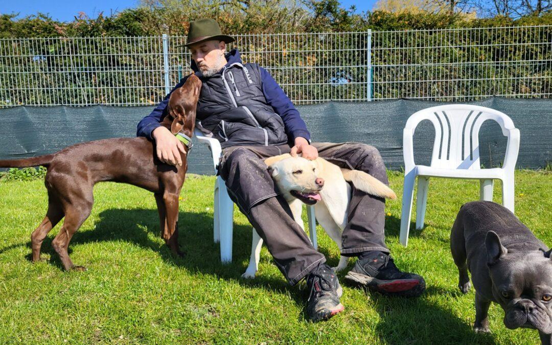 Ist eine Hundepension schlimm für Hunde?