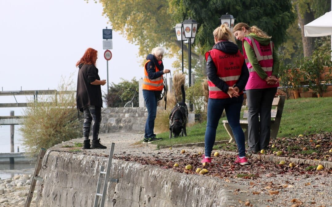 Mantrailing: Das spannende Abenteuer für Hund und Mensch