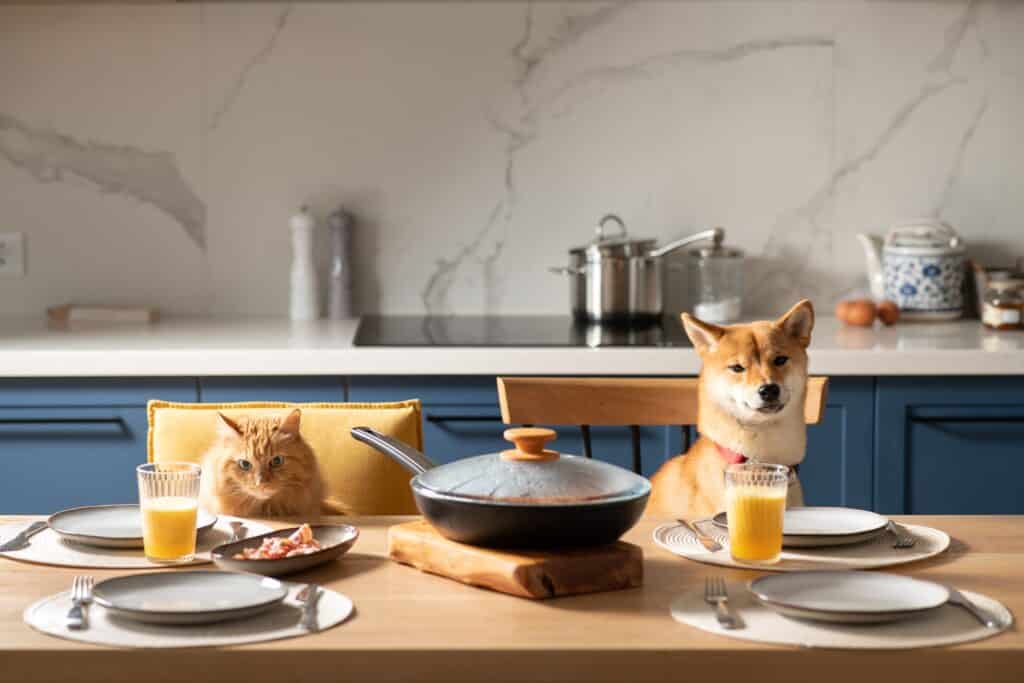 Manuelle Futterpelletmaschine - Haustierfutter Hersteller Für Hunde, Katzen, Vögel