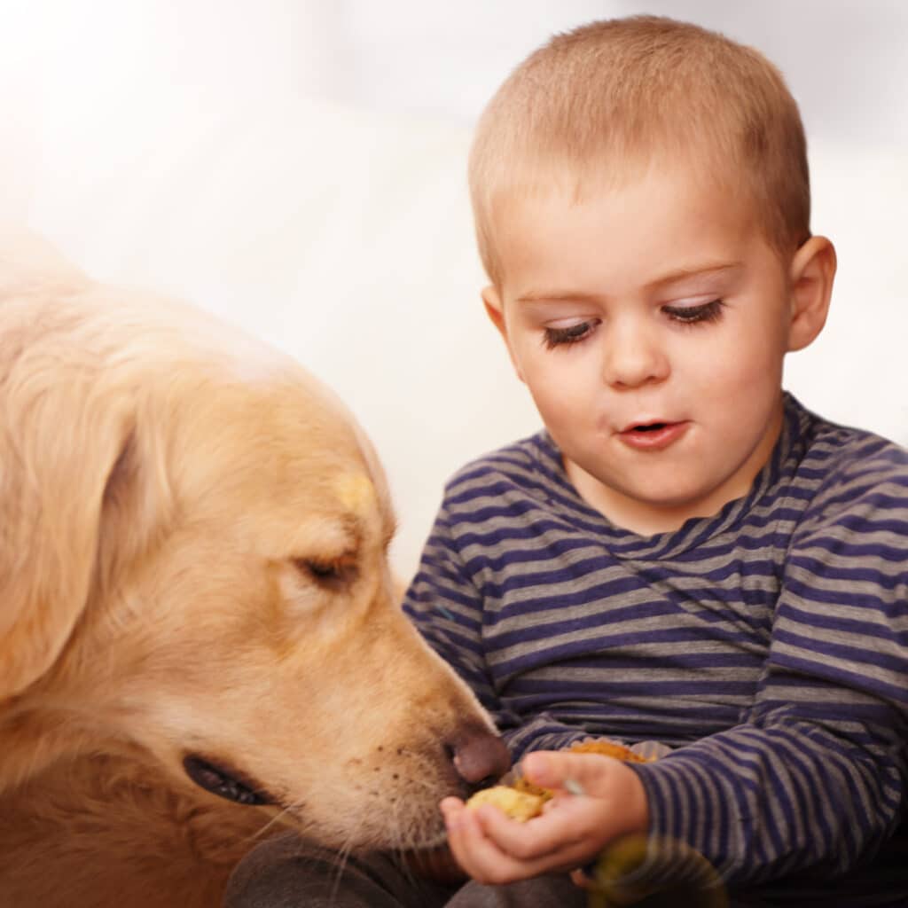 Das perfekte tierische Familienmitglied